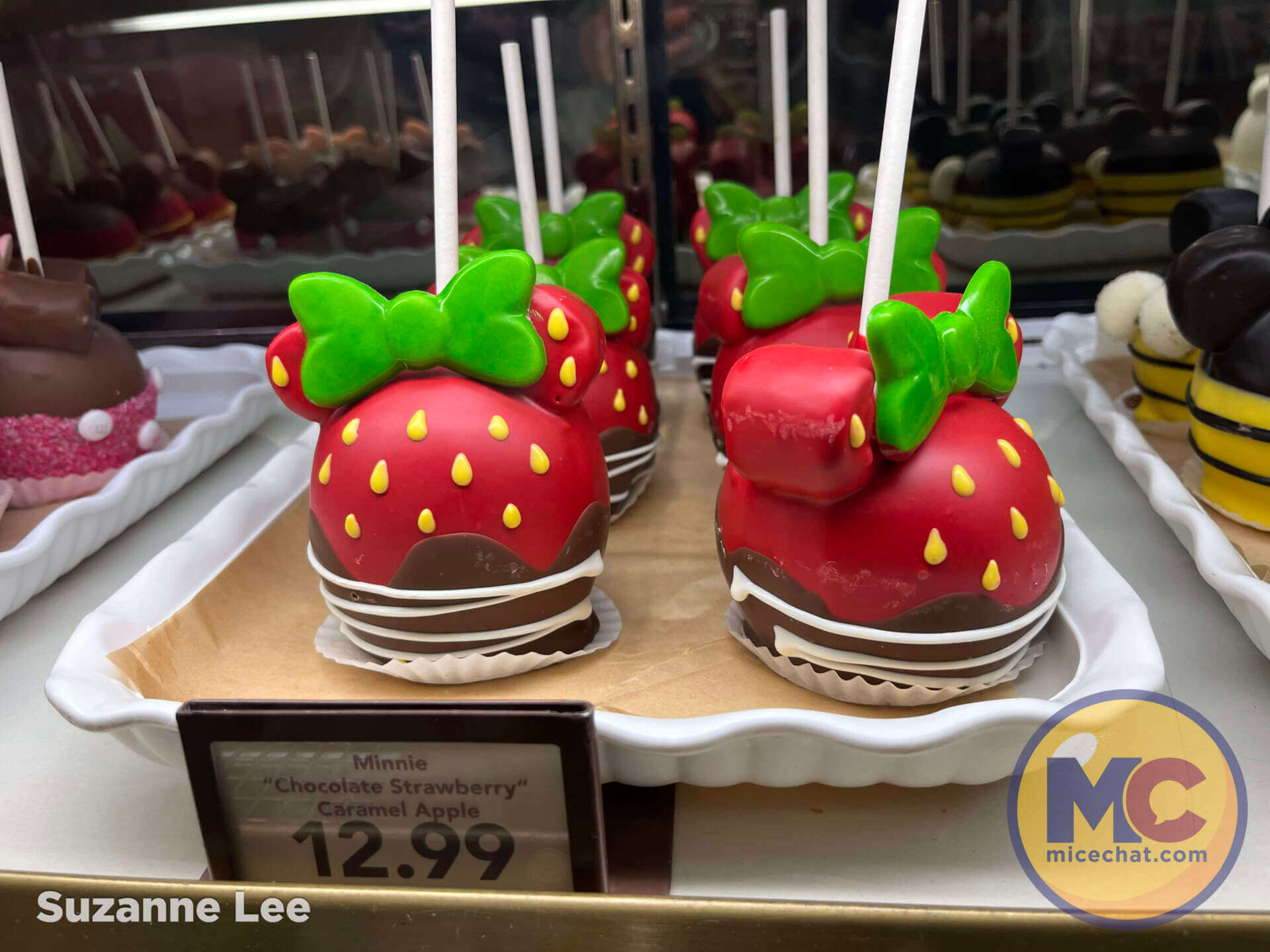 , DISNEYLAND UPDATE: Marvel, Mando & Monorails&mdash;Big Changes Ahead!