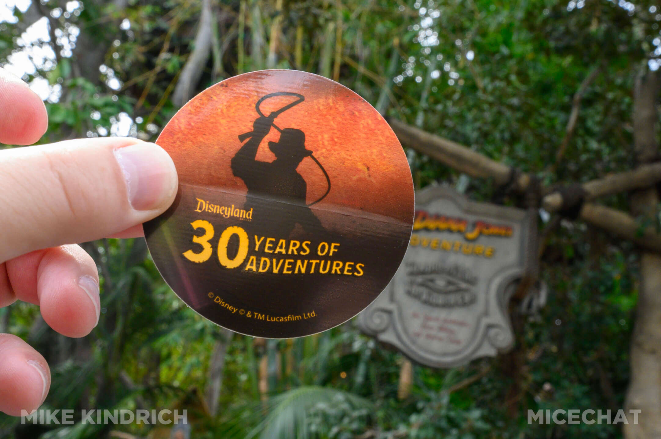 , Disneyland Update: Avengers Upgrades, Park Updates, and Spring has Sprung