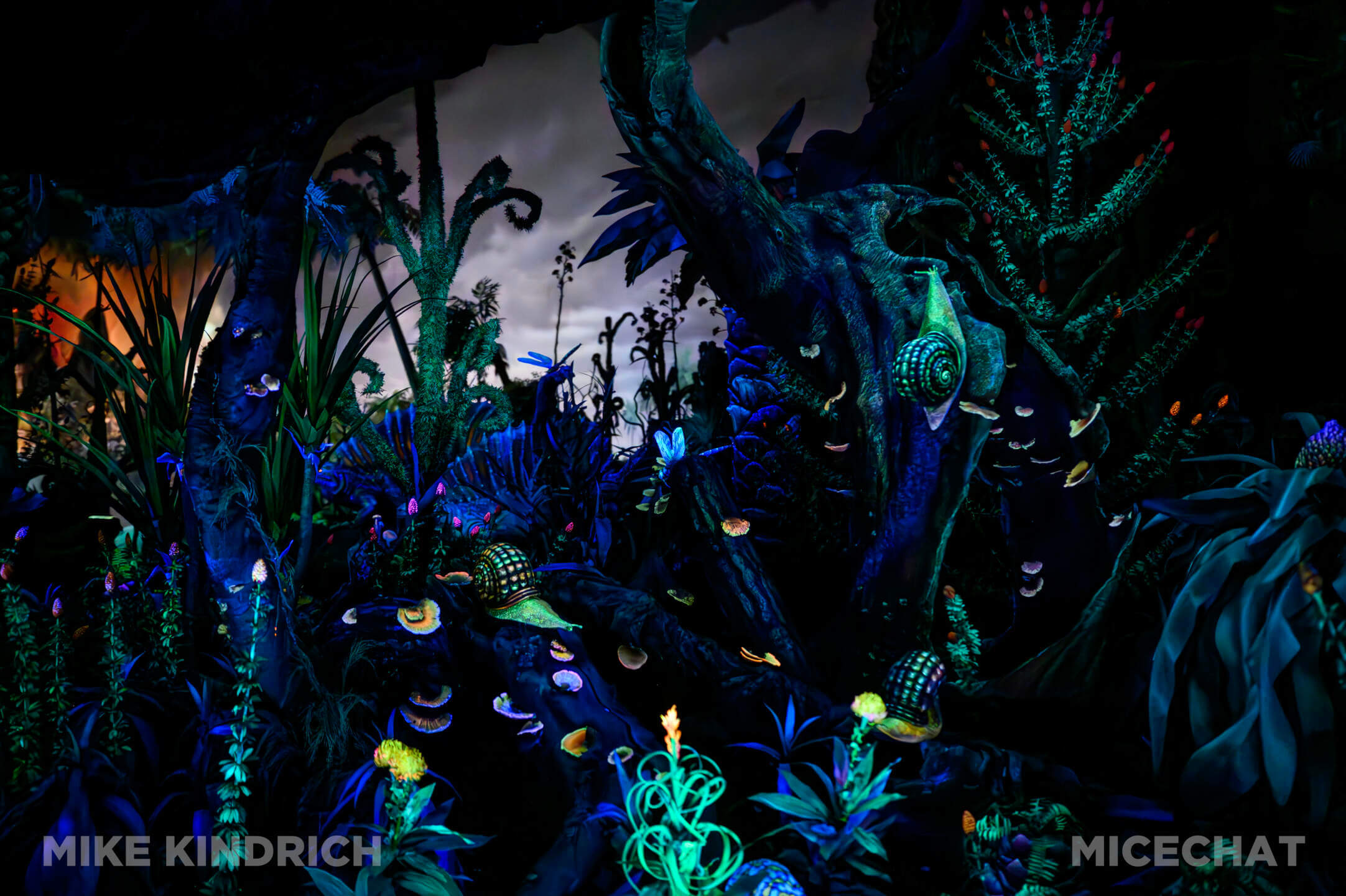 , DISNEYLAND UPDATE: Marvel, Mando & Monorails&mdash;Big Changes Ahead!