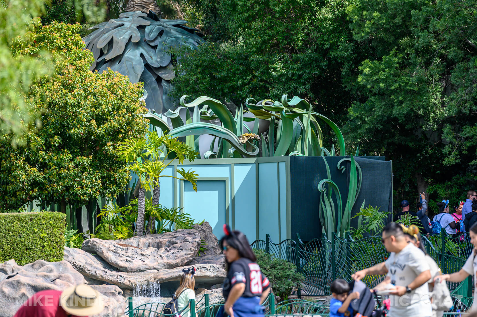 , DISNEYLAND UPDATE: A Hint of Green & A Wee Bit of Woe