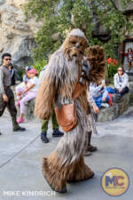 Disneyland_Season of the Force_Galaxy’s Edge_Chewbacca