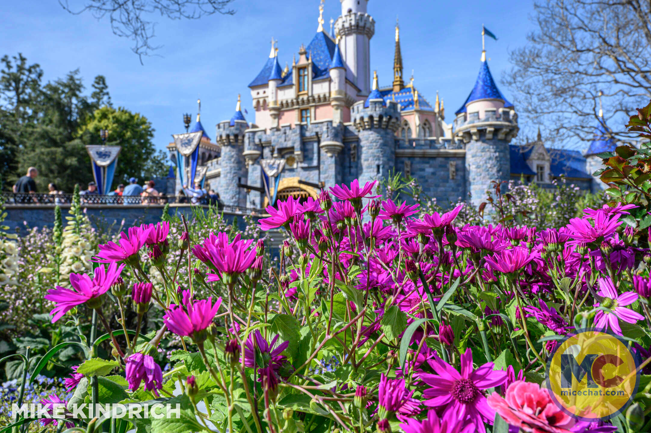 , DISNEYLAND UPDATE: Packed Parks, Show Shuttered & A Galaxy Too Far