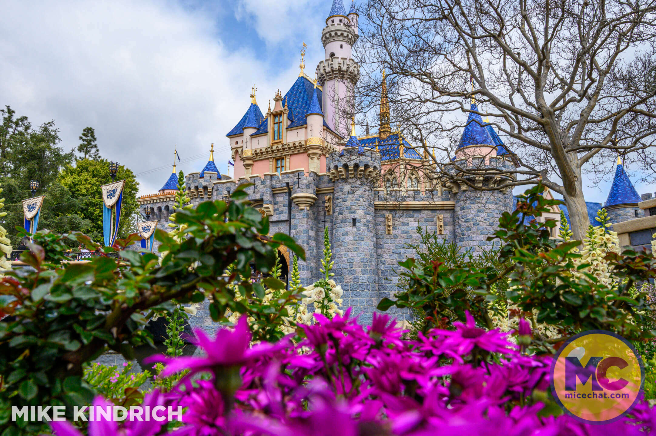 , DISNEYLAND UPDATE: Dance Parties, Demolition & The Competition Awakens