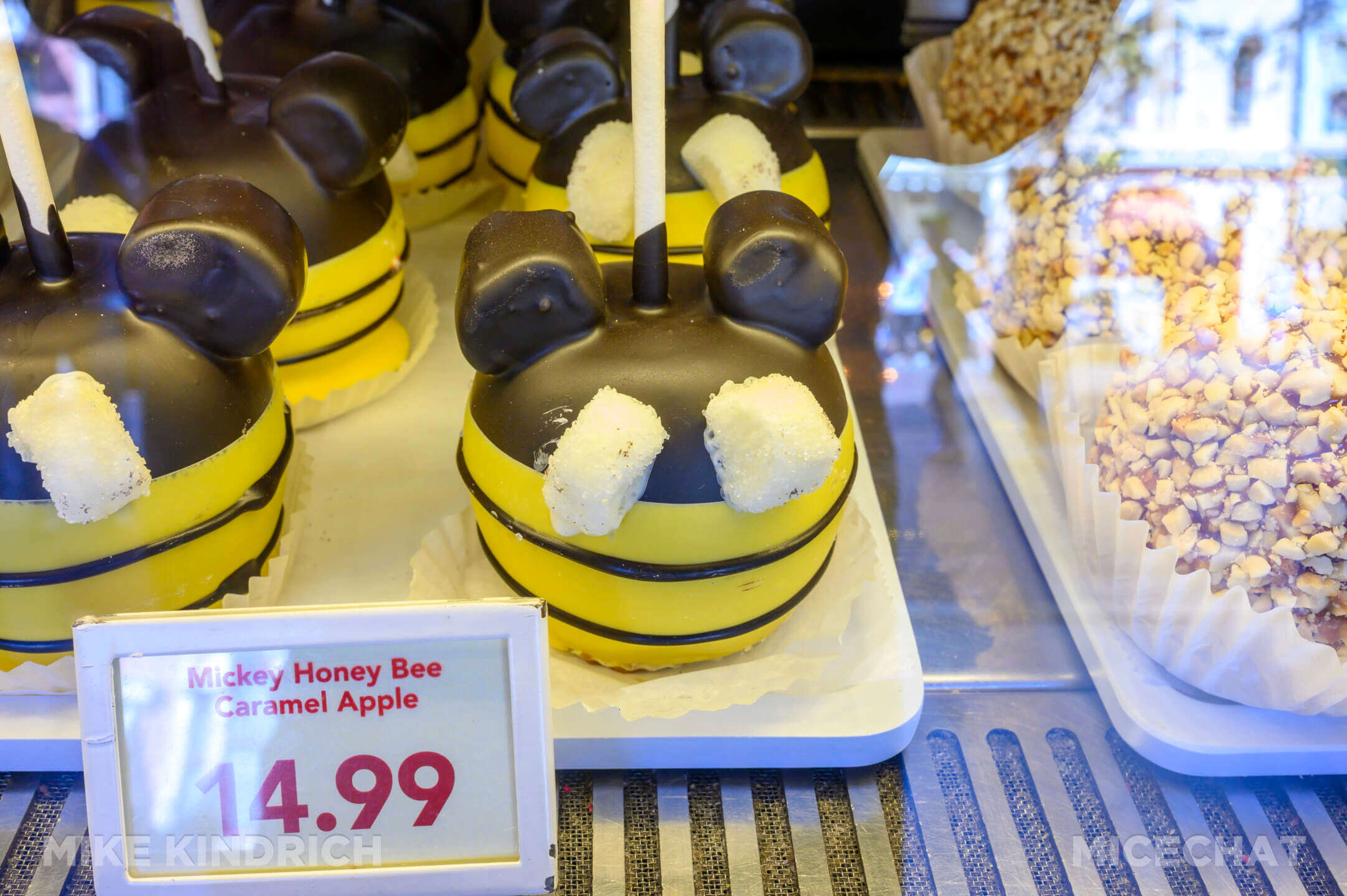 , DISNEYLAND UPDATE: Marvel, Mando & Monorails&mdash;Big Changes Ahead!