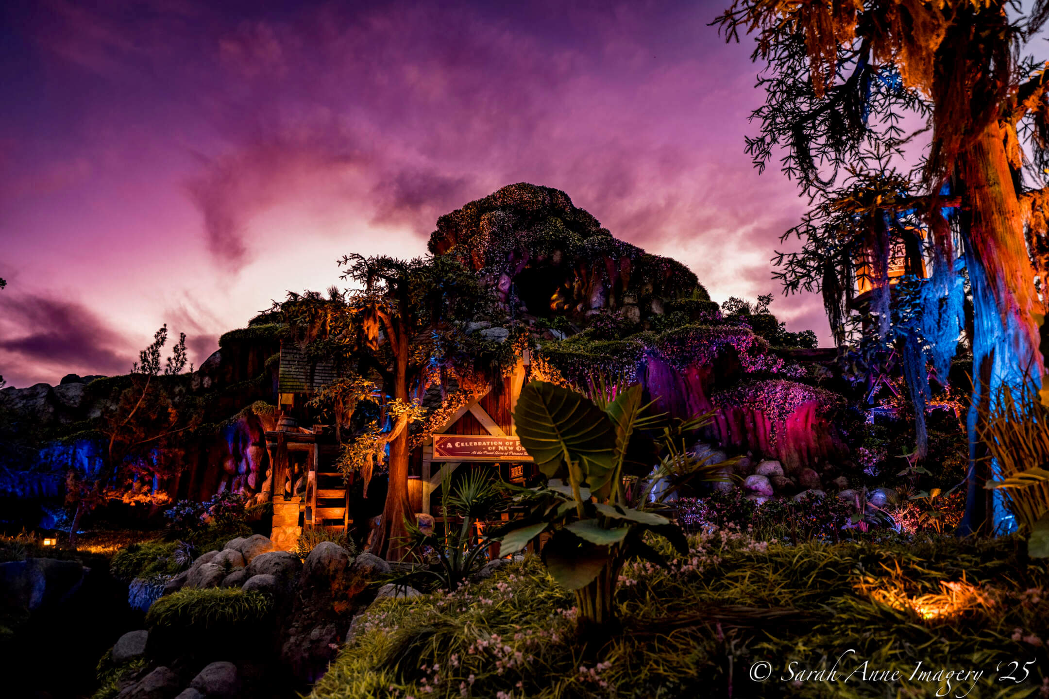 , DISNEYLAND UPDATE: Crowd Crush, Festival Feasts & Disneyland Delays
