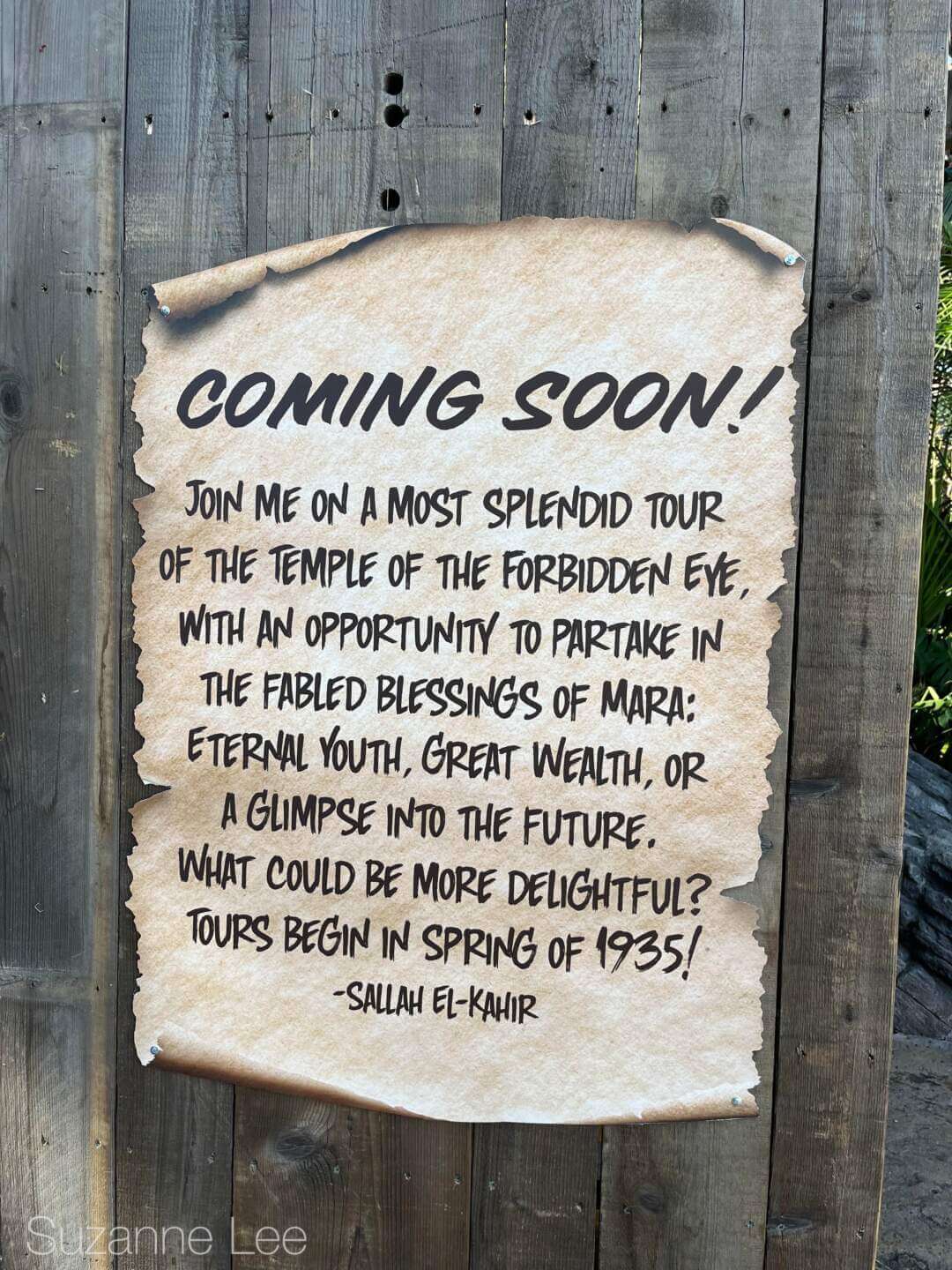 , DISNEYLAND UPDATE: Packed Parks, Show Shuttered & A Galaxy Too Far