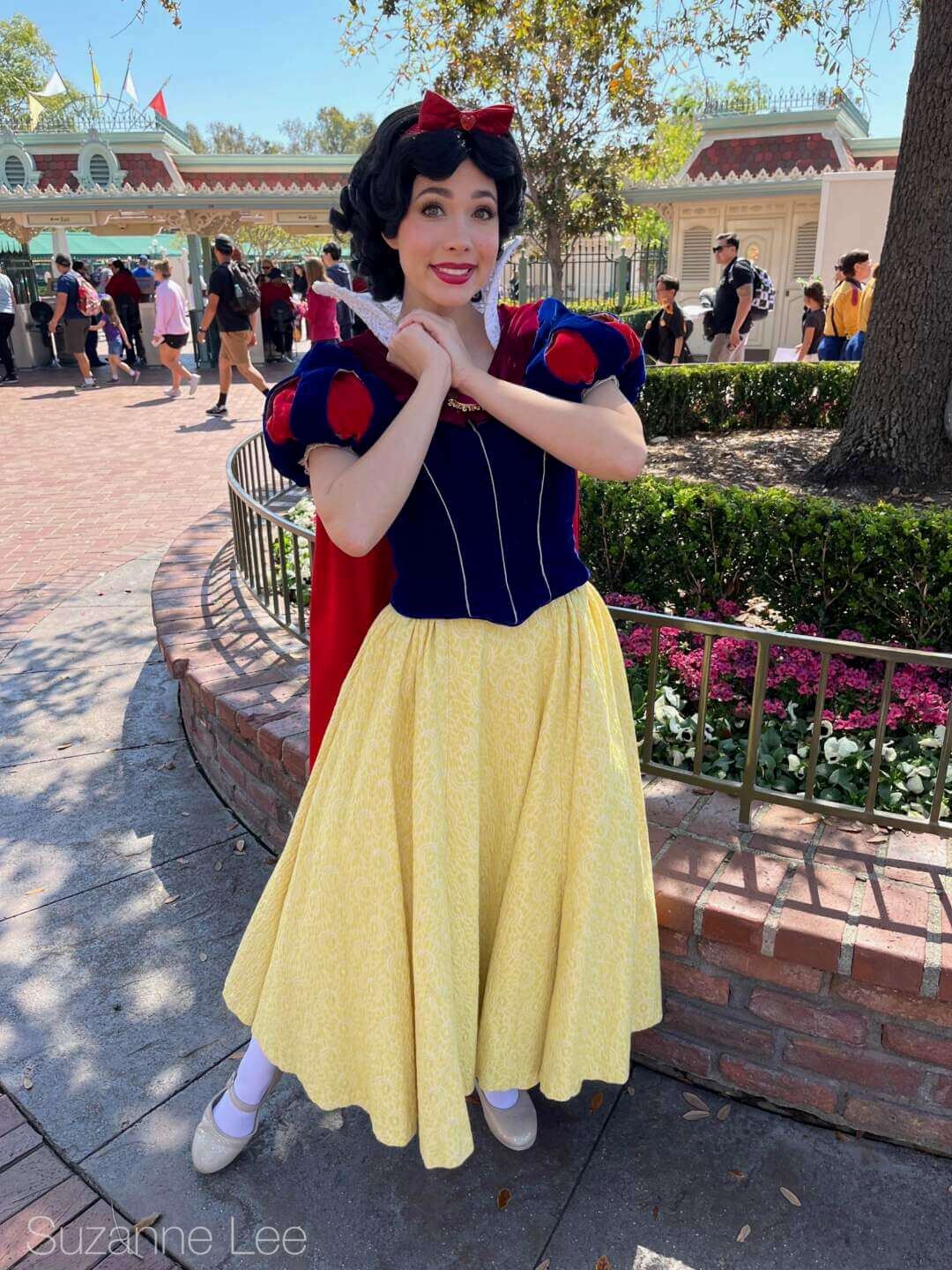 , DISNEYLAND UPDATE: Packed Parks, Show Shuttered & A Galaxy Too Far