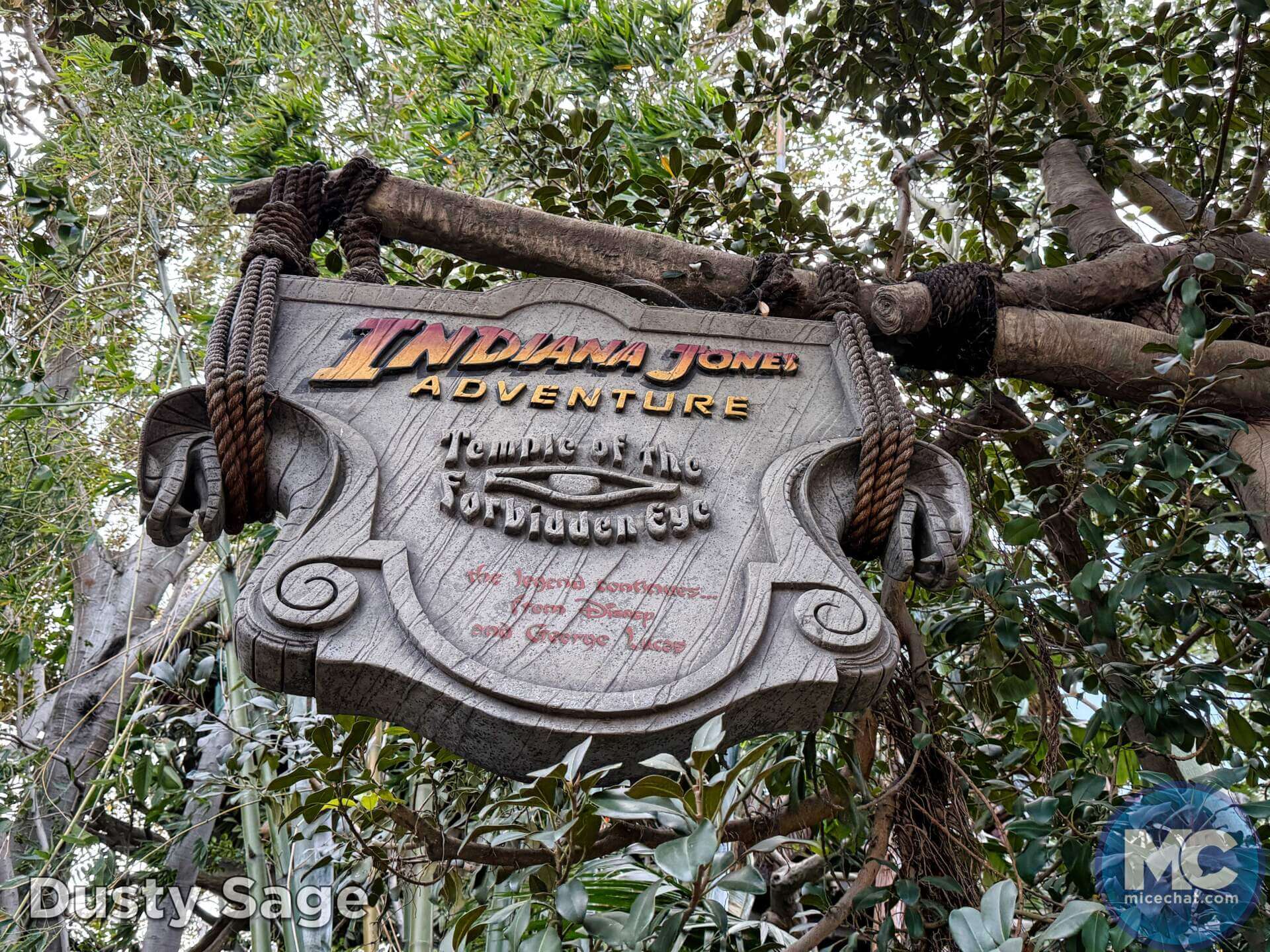 , DISNEYLAND UPDATE: 70th Style, Galactic Files & Guests Gone Wild!