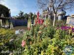 disneyland beauty castle flowers MiceChat