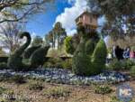 disneyland beauty castle swans MiceChat