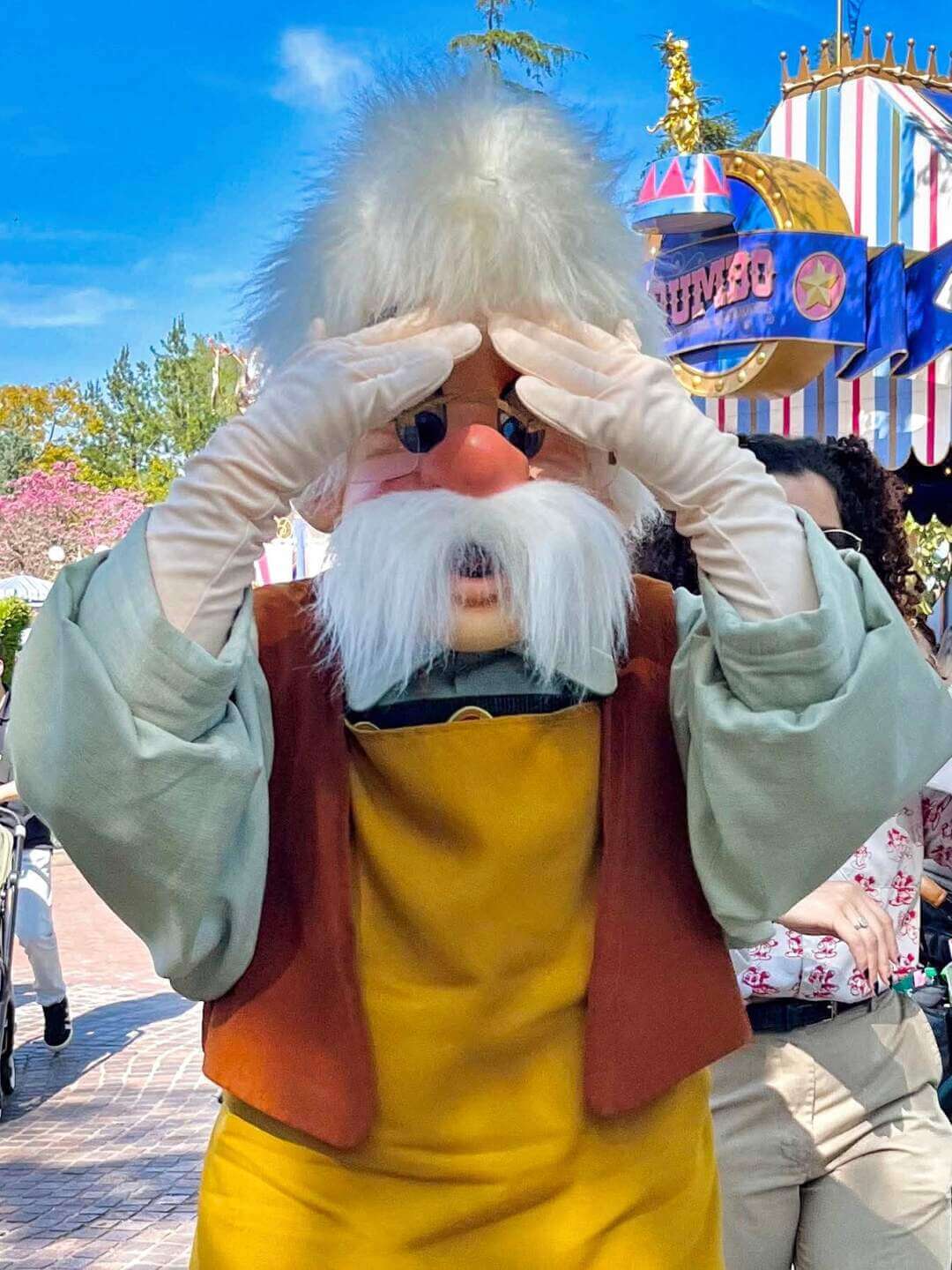 , DISNEYLAND UPDATE: Kim’s Goodbye, Coco’s Hello, Pandora Puzzlement & Construction Craziness!