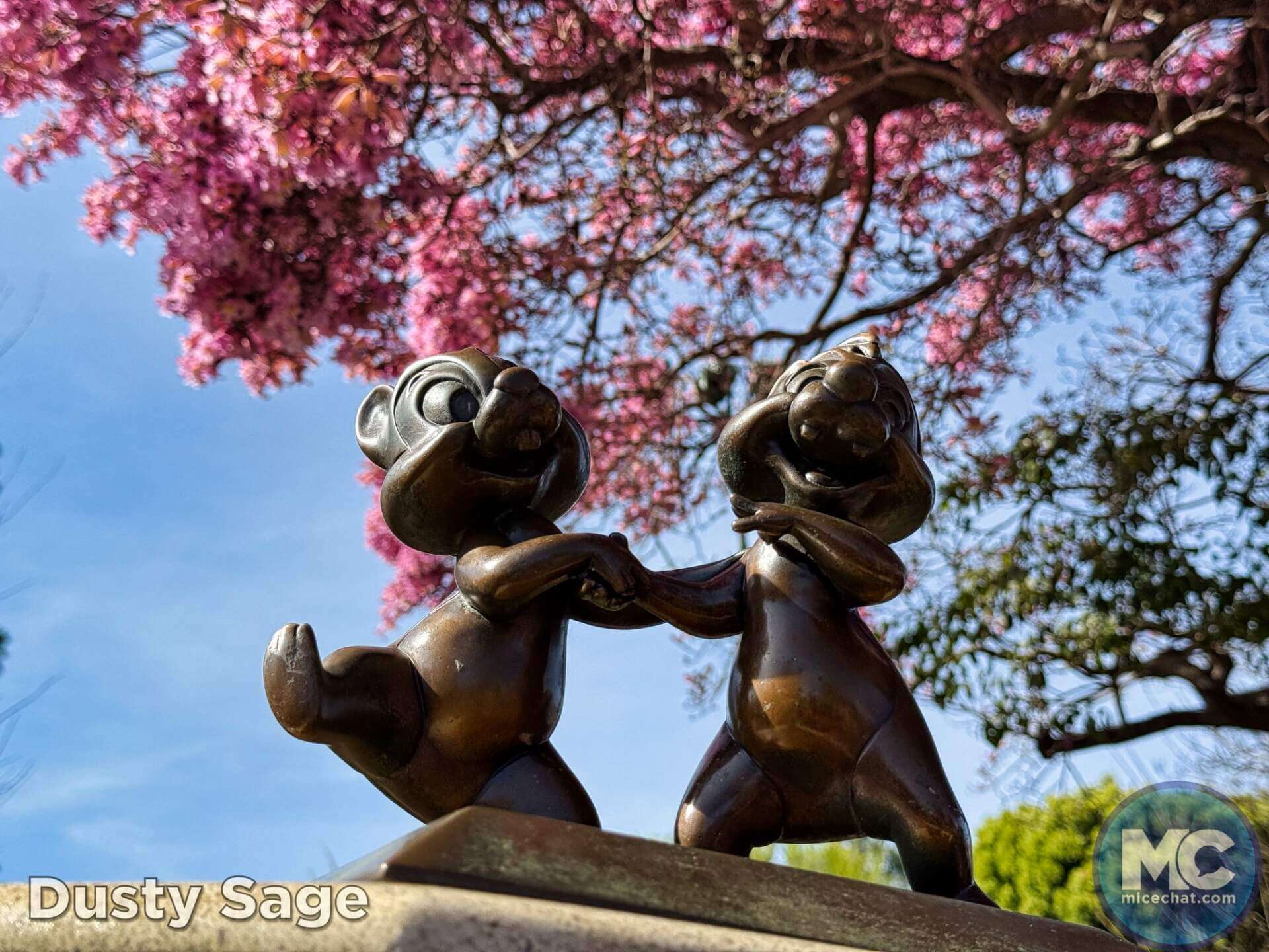 , DISNEYLAND UPDATE: CEO Shock, Napa Rose Reborn & DCA’s 25th Birthday Bash!