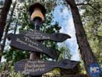 disneyland beauty critter country signs MiceChat