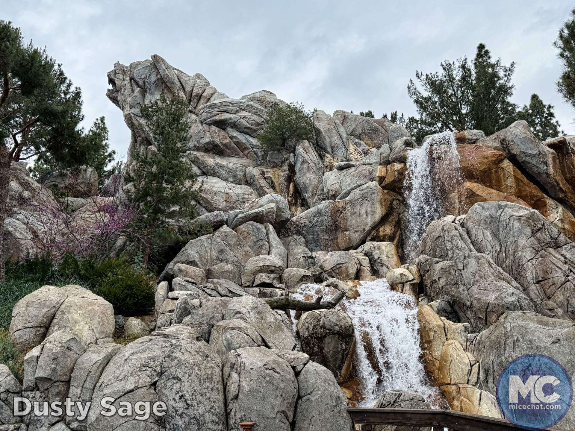 , DISNEYLAND UPDATE: A Hint of Green & A Wee Bit of Woe