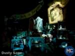disneyland beauty haunted mansion attic 2 MiceChat