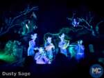 disneyland beauty haunted mansion graveyard MiceChat