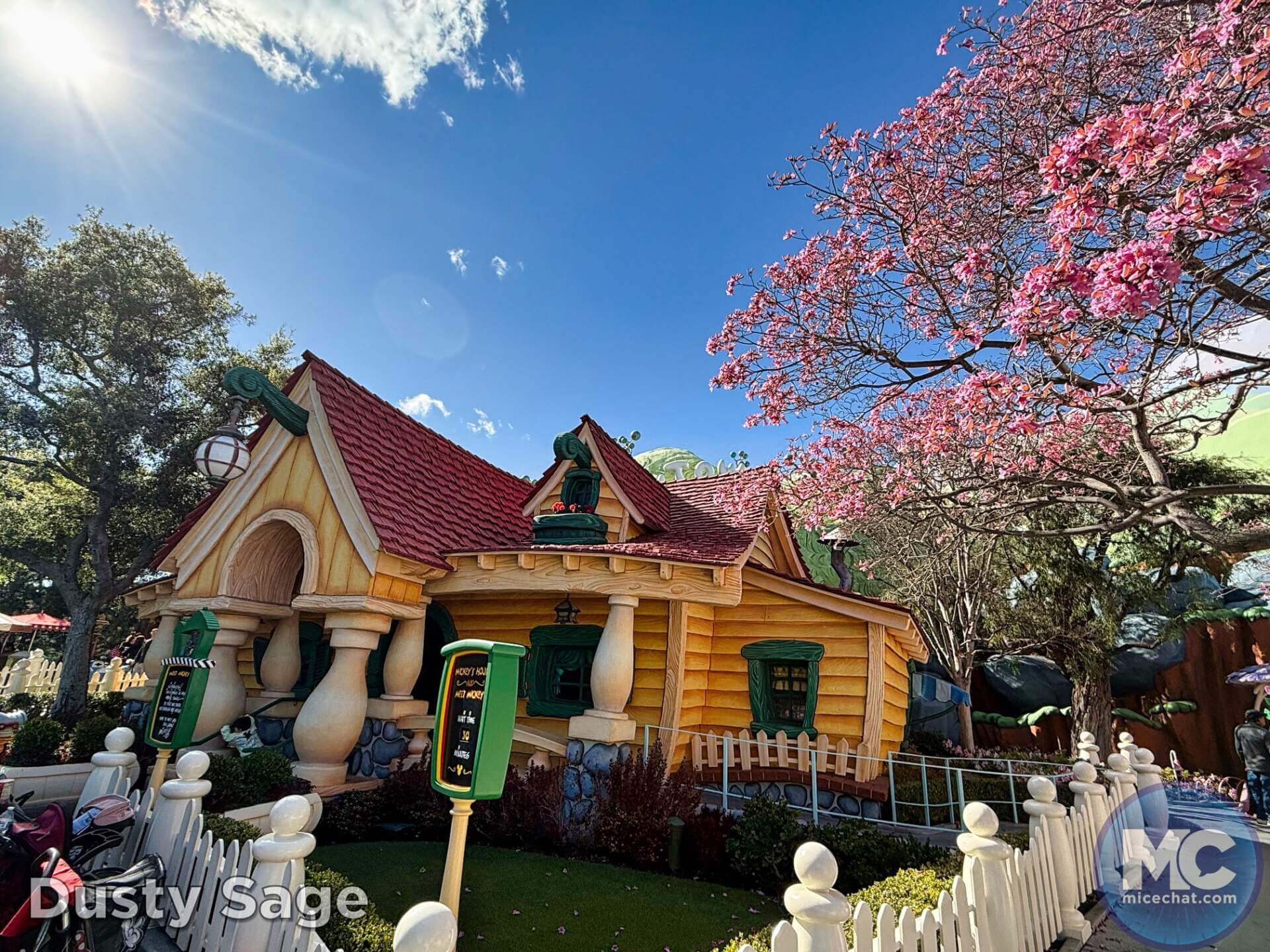 , DISNEYLAND UPDATE: A Hint of Green & A Wee Bit of Woe