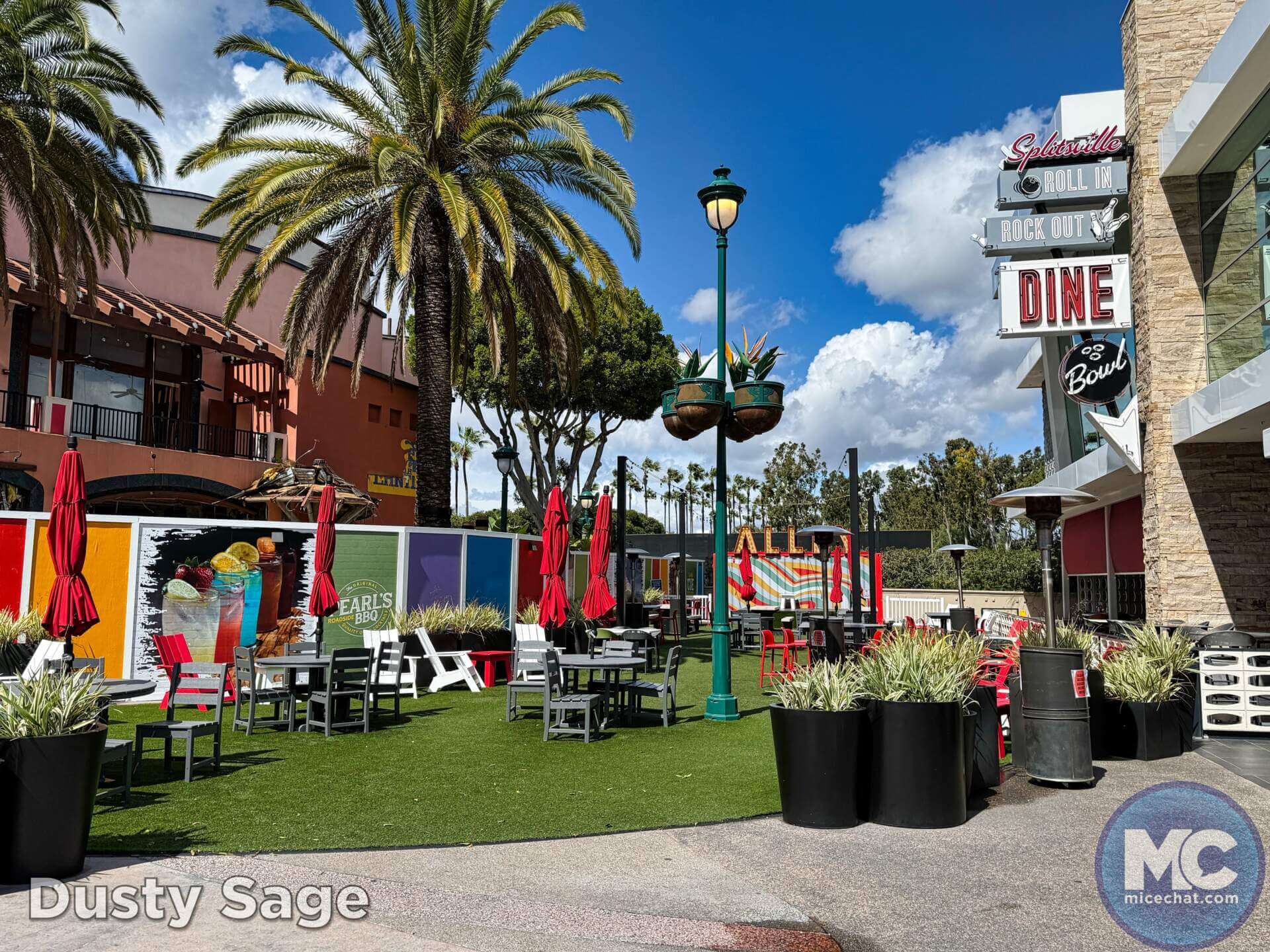 , DISNEYLAND UPDATE: A Hint of Green & A Wee Bit of Woe