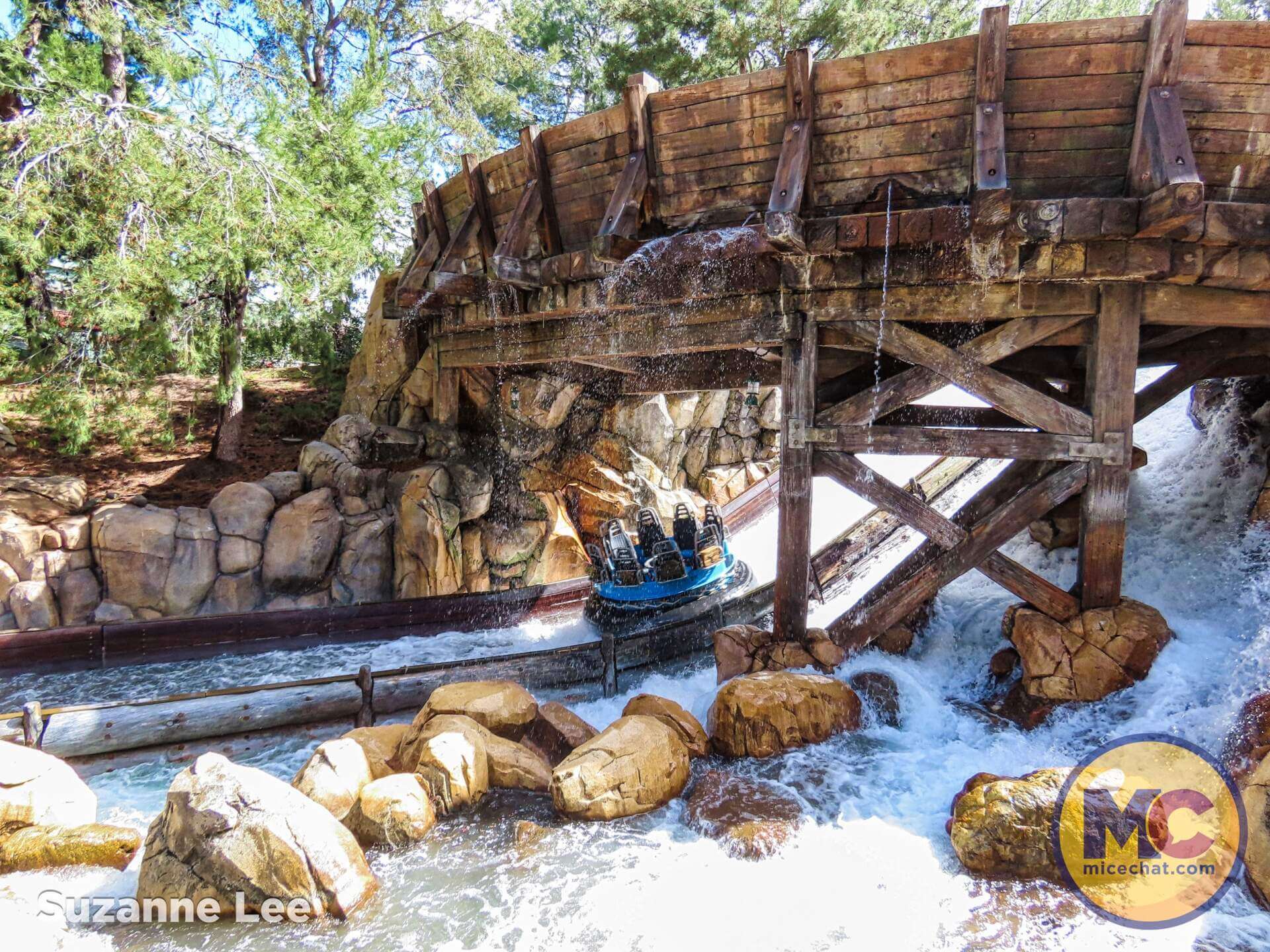 , DISNEYLAND UPDATE: A Hint of Green & A Wee Bit of Woe