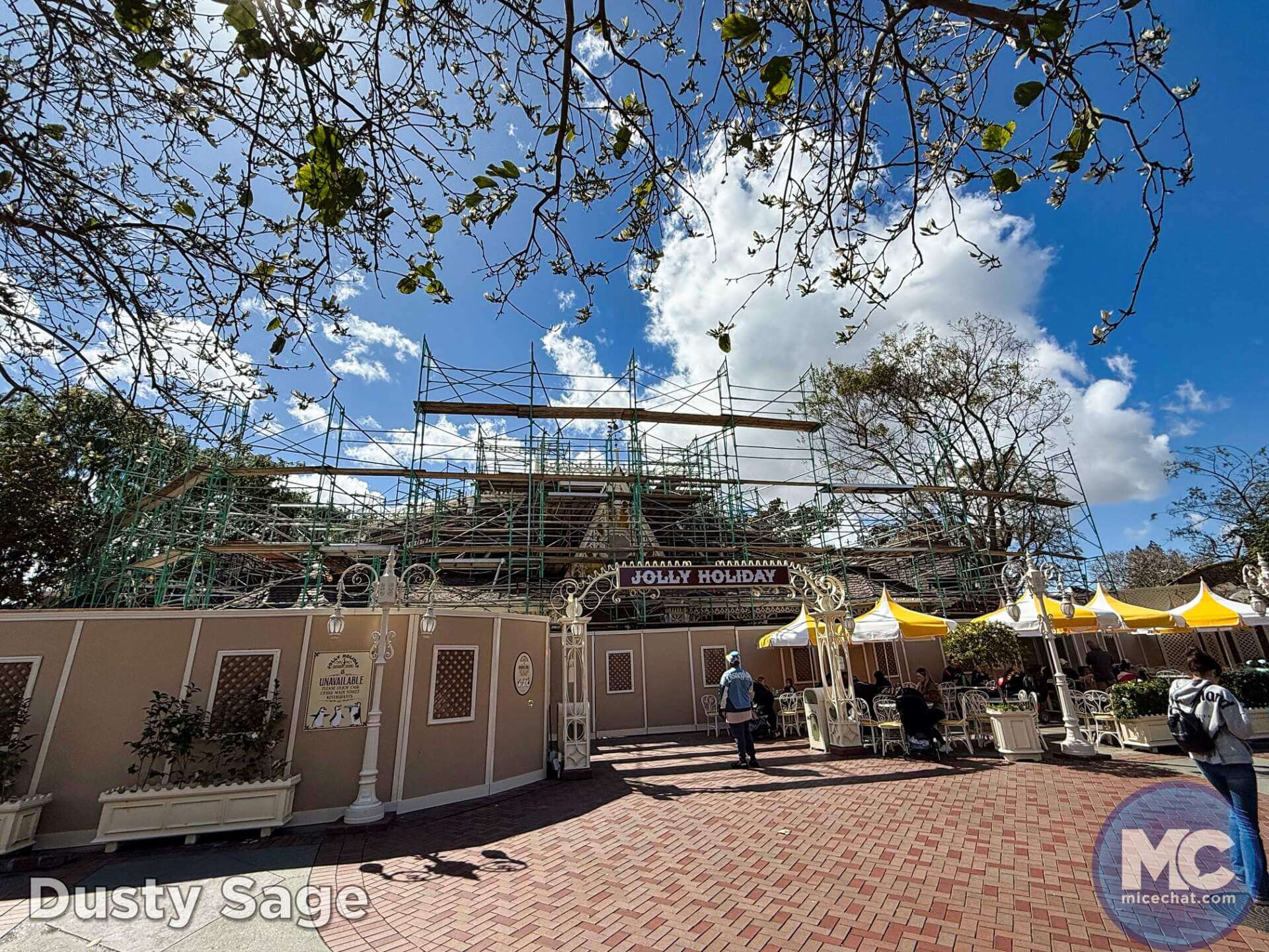 , DISNEYLAND UPDATE: A Hint of Green & A Wee Bit of Woe