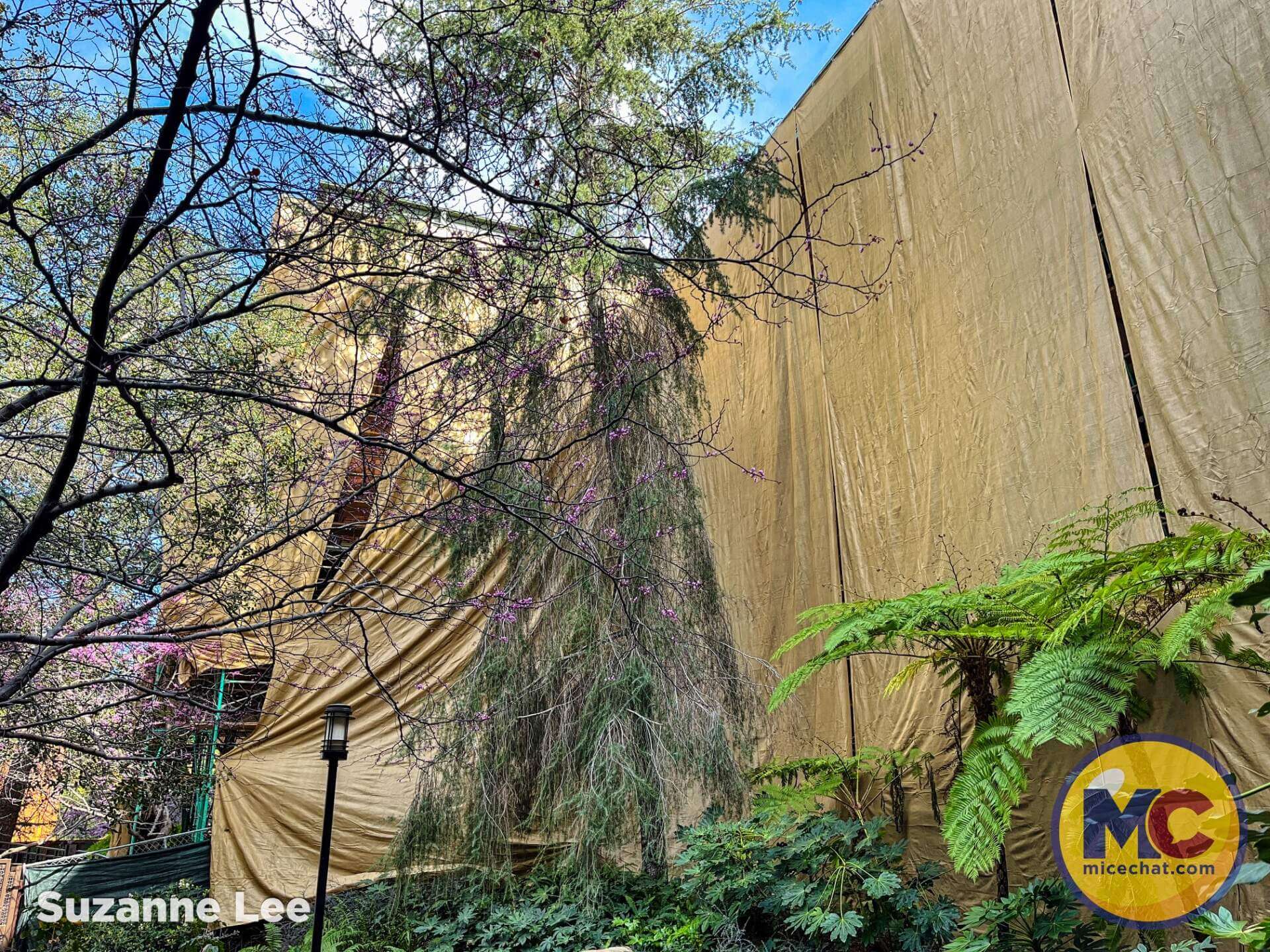 , DISNEYLAND UPDATE: A Hint of Green & A Wee Bit of Woe