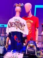 Disney Cruise Line Disney Destiny Merchandise and Treats (11)