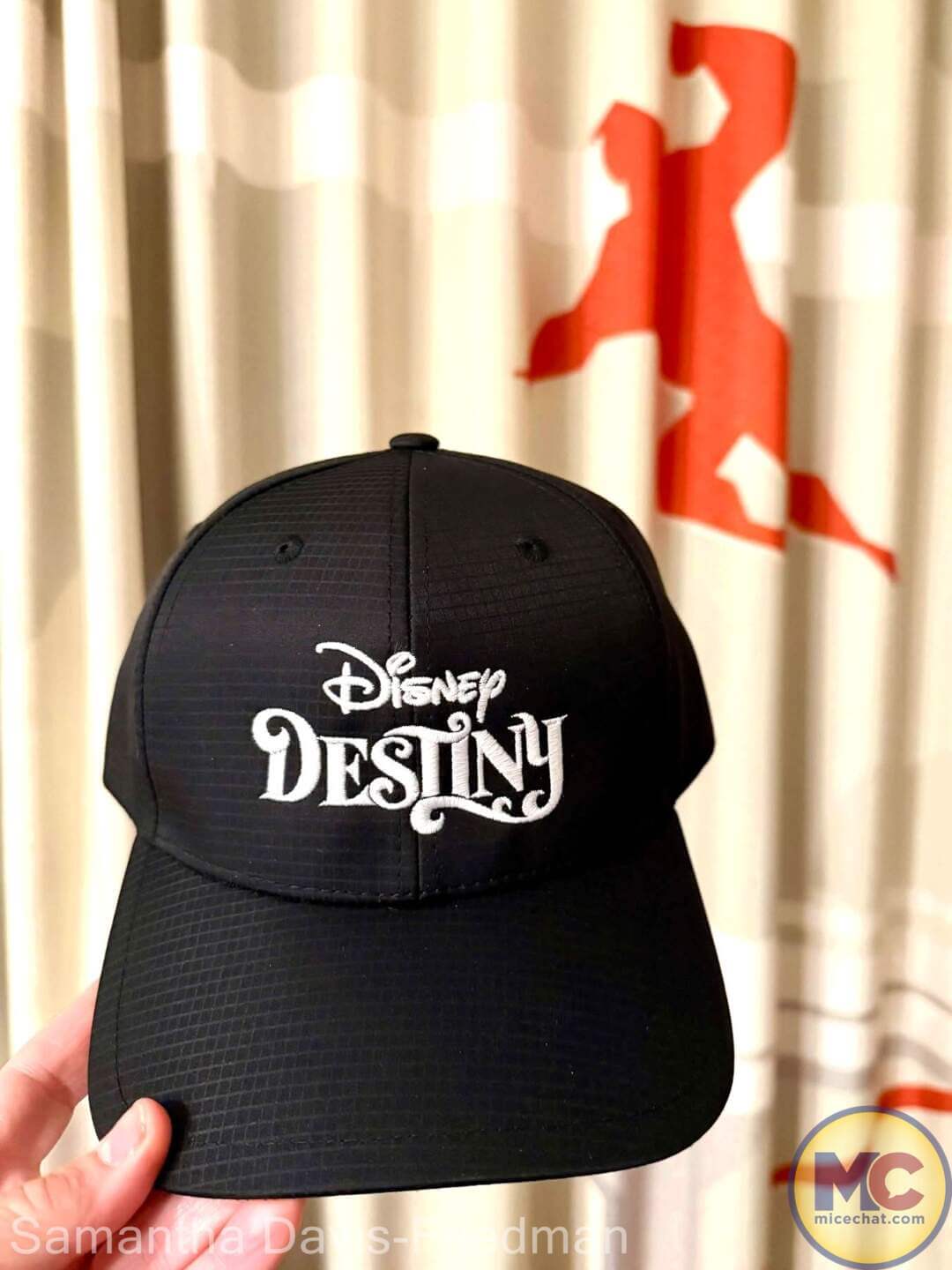 Disney Destiny Merchandise, Disney Destiny Merch Guide: From Grand Hall Glam to Super-Powered Souvenirs