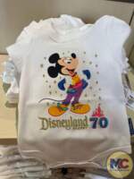 Disneyland 70th Anniversary Merchandise (110)