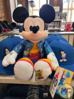 Disneyland 70th Anniversary Merchandise (118)