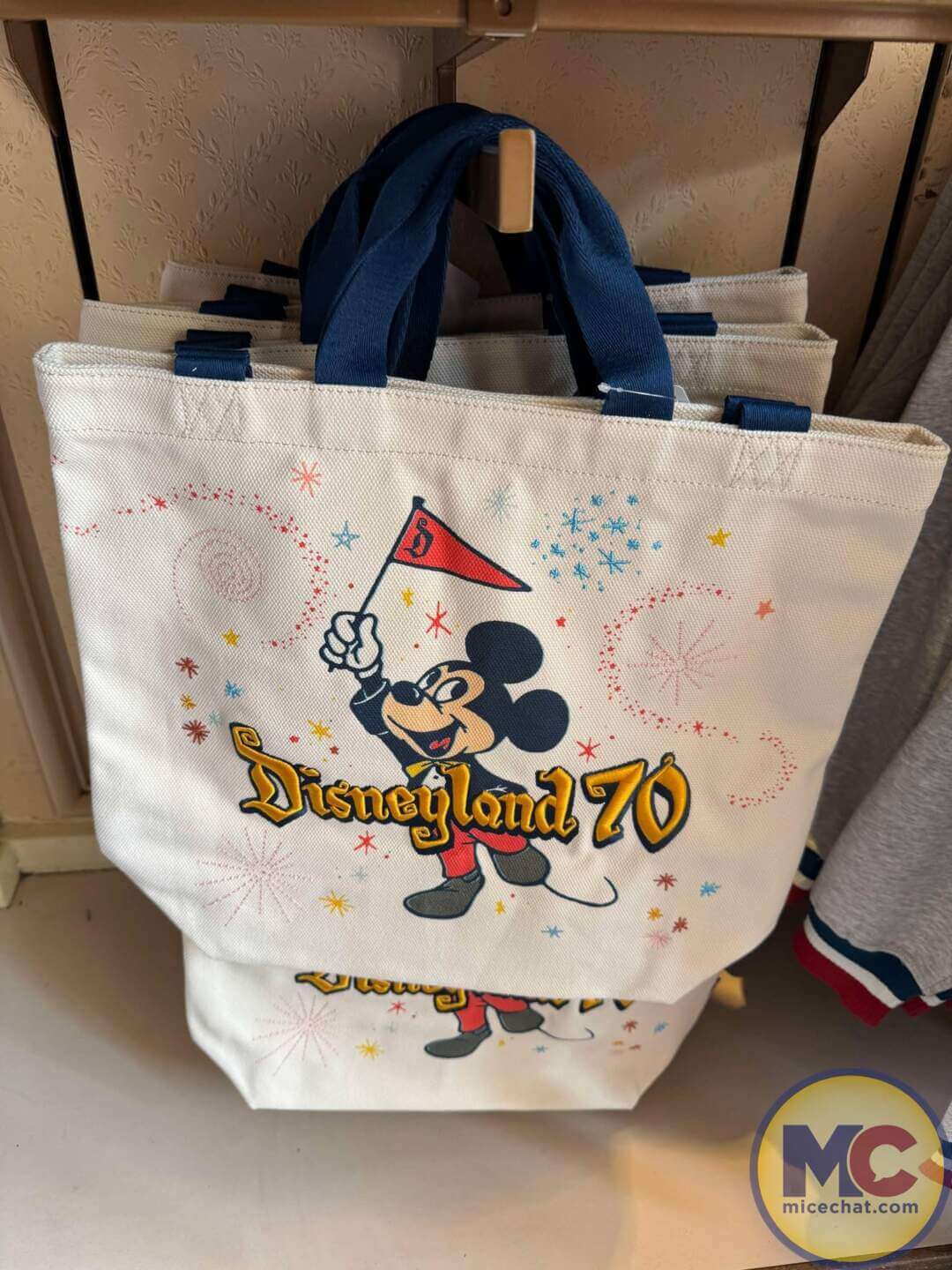 70th Anniversary Merchandise Collection, TAKE A LOOK: All Disneyland 70th Anniversary Merch Collections Now in Stores! 🎉