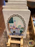 Disneyland 70th Anniversary Merchandise (153)