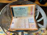 Disneyland 70th Anniversary Merchandise (158)