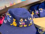 Disneyland 70th Anniversary Merchandise (20)