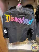 Disneyland 70th Anniversary Merchandise (45)