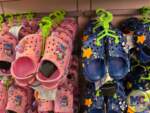 Disneyland 70th Anniversary Merchandise (47)