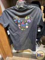 Disneyland 70th Anniversary Merchandise (52)