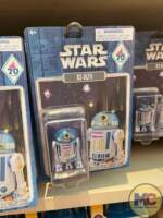 Disneyland 70th Anniversary Merchandise (77)