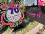 Disneyland 70th Anniversary Merchandise Bags (140)