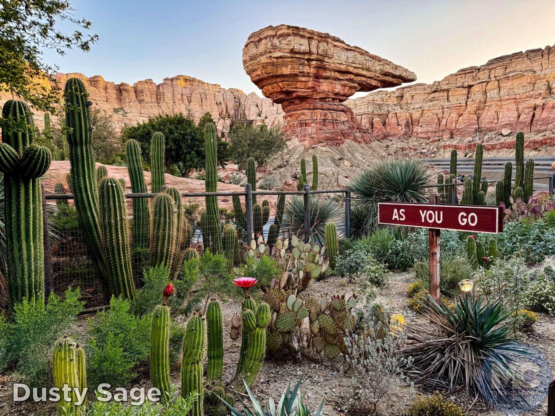 Disneyland News, DISNEYLAND UPDATE: Crowds, Construction & A Delayed World After All