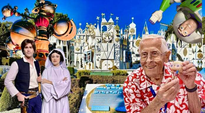 DISNEYLAND UPDATE: Crowds, Construction & A Delayed World After All
