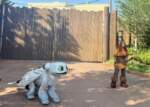 Epic-Universe-Isle-of-Berk-dragon