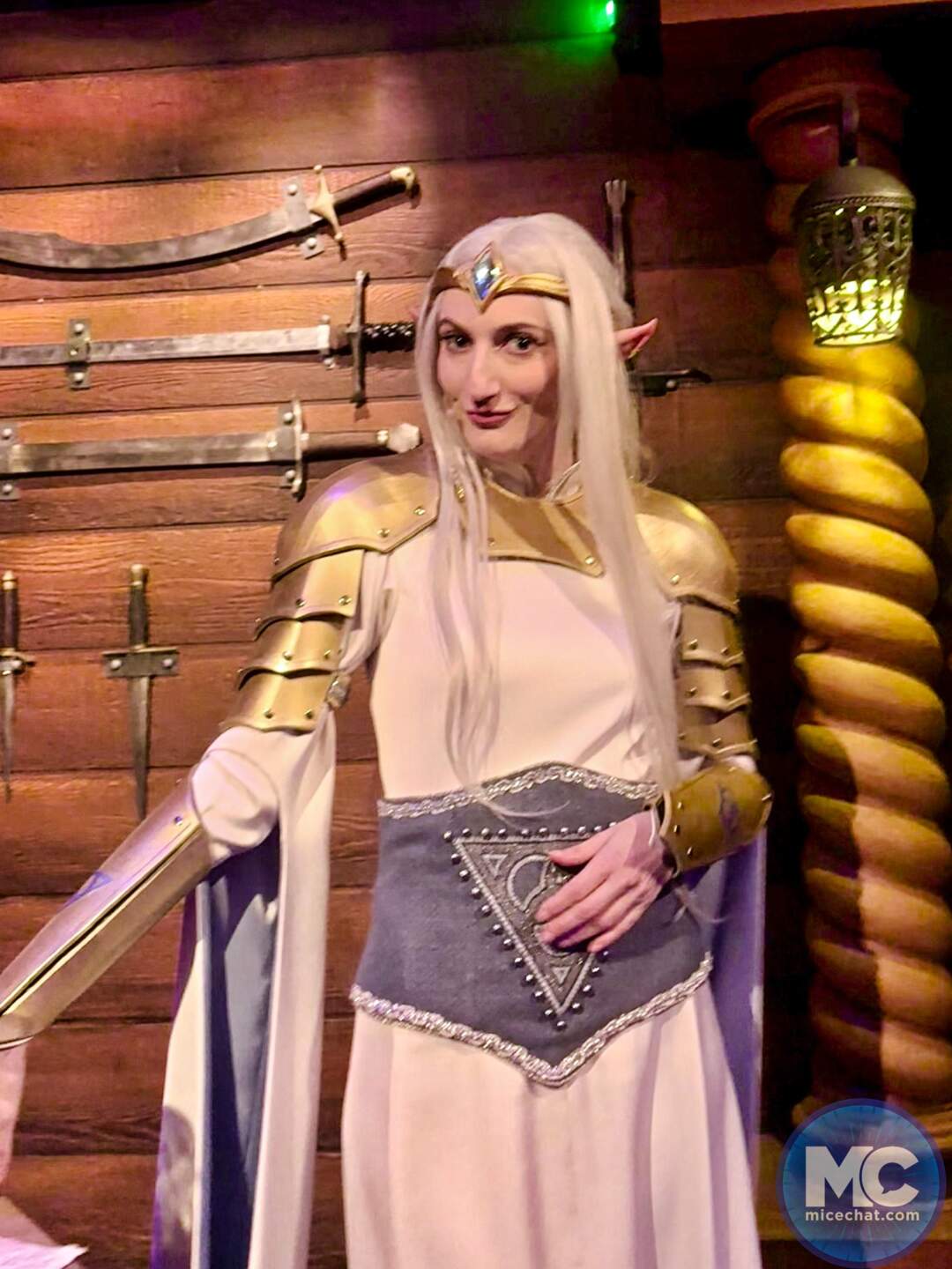 Fan Fest, Universal’s Fan Fest Nights: Fandoms Unite for an Epic New Adventure