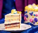 DLR-70th-Anniversary-Cake