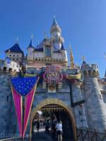Disneyland 70th decor