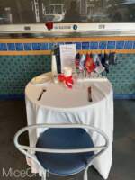 Disneyland-Memorial-Day-2025