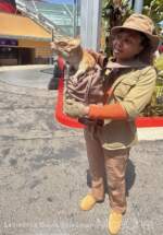 USH-Mega-Movie-Summer-Jurassic-World-Delores-1