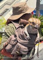 USH-Mega-Movie-Summer-Jurassic-World-Delores