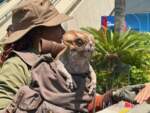 USH-Mega-Movie-Summer-Jurassic-World-Delores-2