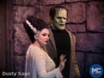 Universal Epic Universe dark universe characters frankenstein and bride MiceChat