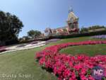 disneyland beauty Disneyland train station floral MiceChat